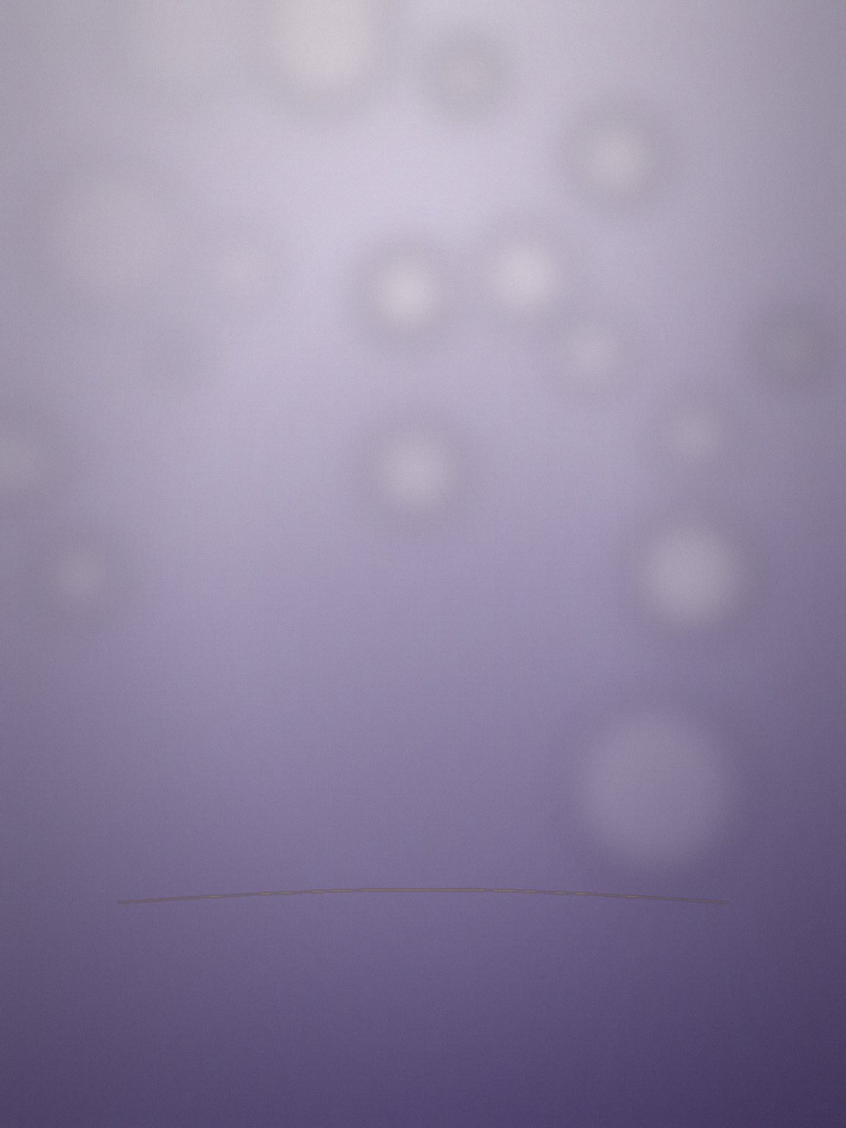 Ảnh cưới 6